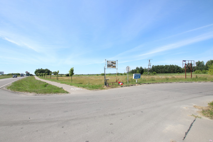 Działka Sprzedaż Pałecznica-Kolonia 1