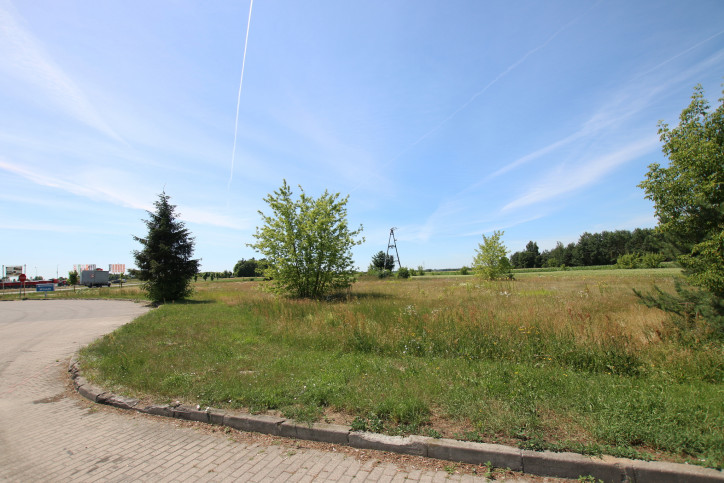 Działka Sprzedaż Pałecznica-Kolonia 9
