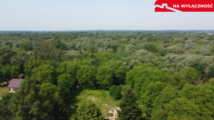 Dom Sprzedaż Kaliszany-Kolonia 10