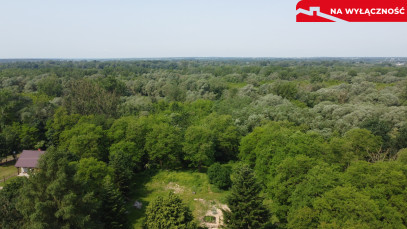 Dom Sprzedaż Kaliszany-Kolonia