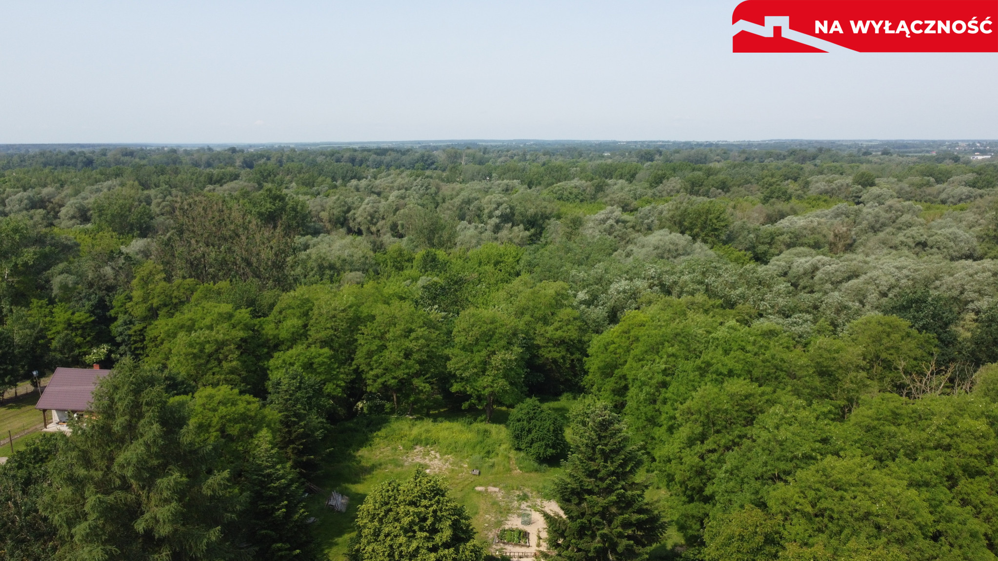Dom Sprzedaż Kaliszany-Kolonia