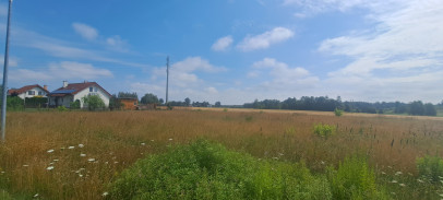 Działka Sprzedaż Wólka Cycowska