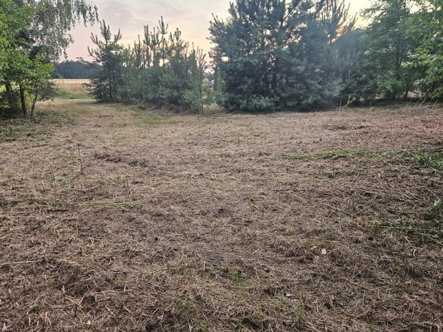 Działka Sprzedaż Dąbrowa 3
