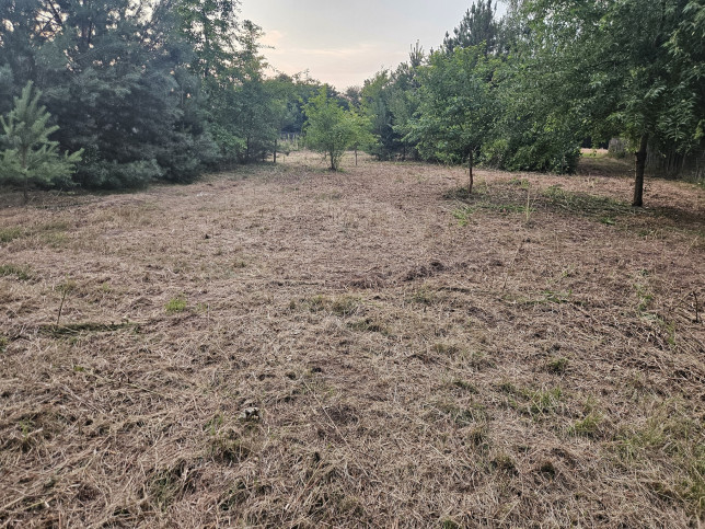 Działka Sprzedaż Dąbrowa 5