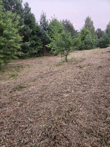 Działka Sprzedaż Dąbrowa 7