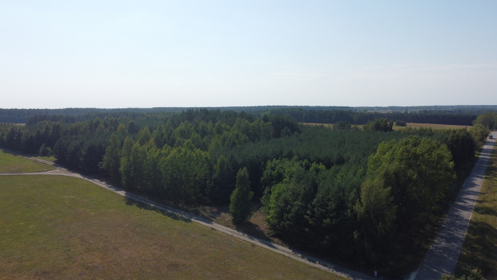 Dom Sprzedaż Świesielice 5