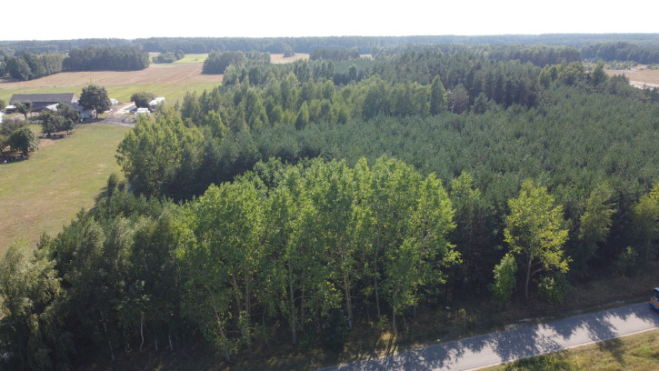 Dom Sprzedaż Świesielice 6