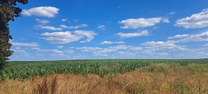 Działka Sprzedaż Miłków-Kolonia 1