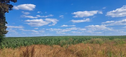 Działka Sprzedaż Miłków-Kolonia