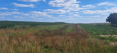 Działka Sprzedaż Miłków-Kolonia