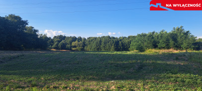 Działka Sprzedaż Stary Majdan