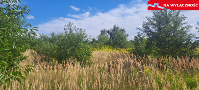 Działka Sprzedaż Suszno Olszana