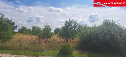 Działka Sprzedaż Suszno Olszana