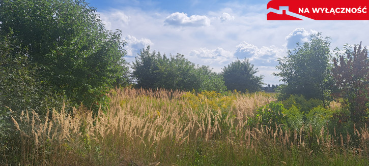 Działka Sprzedaż Suszno Olszana 3
