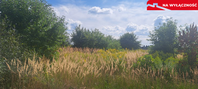 Działka Sprzedaż Suszno Olszana