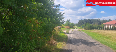 Działka Sprzedaż Suszno Olszana