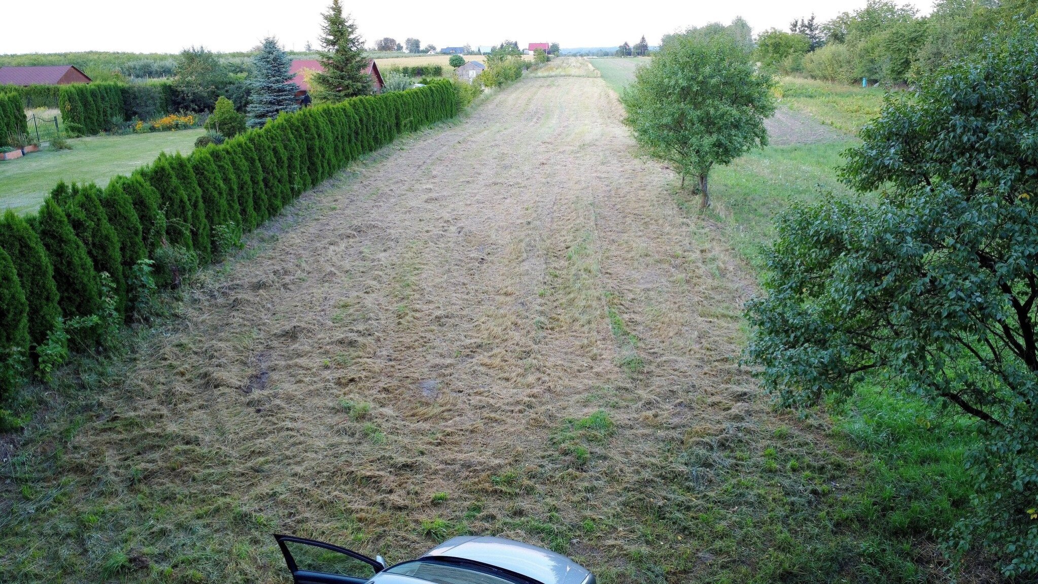 Działka Sprzedaż Wojszyn