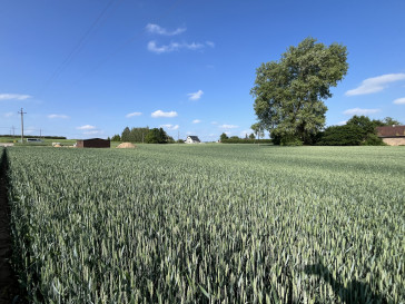 Działka Sprzedaż Jastków