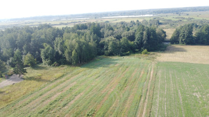 Działka Sprzedaż Żminne