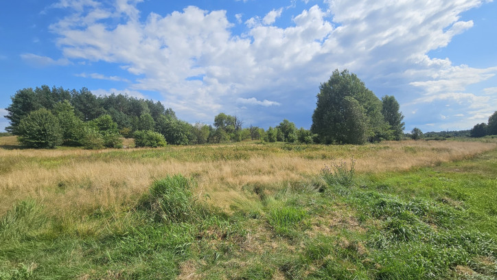 Działka Sprzedaż Luta 4