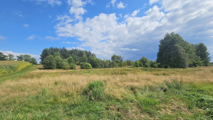 Działka Sprzedaż Luta 6