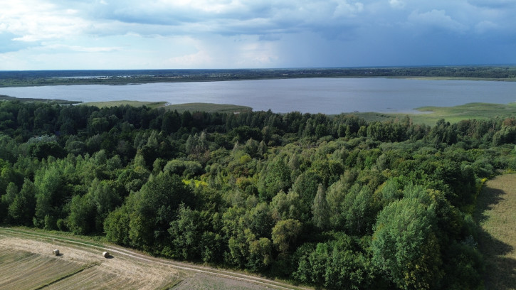 Działka Sprzedaż Wólka Nadrybska 3