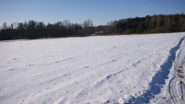 Działka Sprzedaż Żminne 8