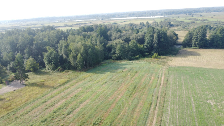 Działka Sprzedaż Żminne 16