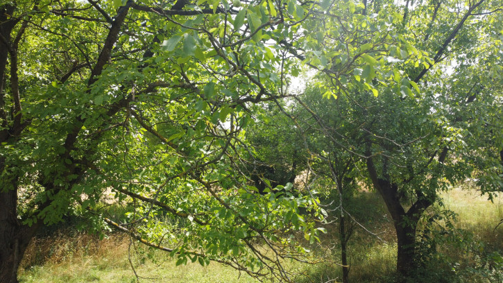 Działka Sprzedaż Zamość Nowy 10