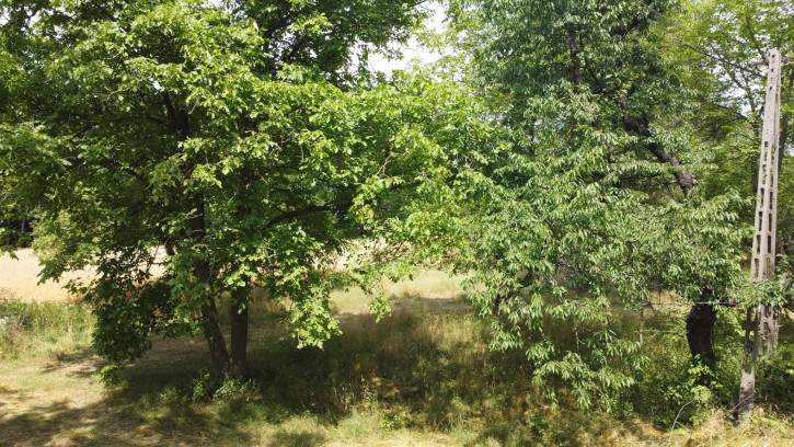 Działka Sprzedaż Zamość Nowy 12