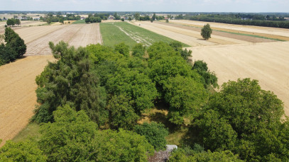 Działka Sprzedaż Zamość Nowy