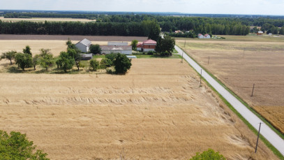 Działka Sprzedaż Zamość Nowy