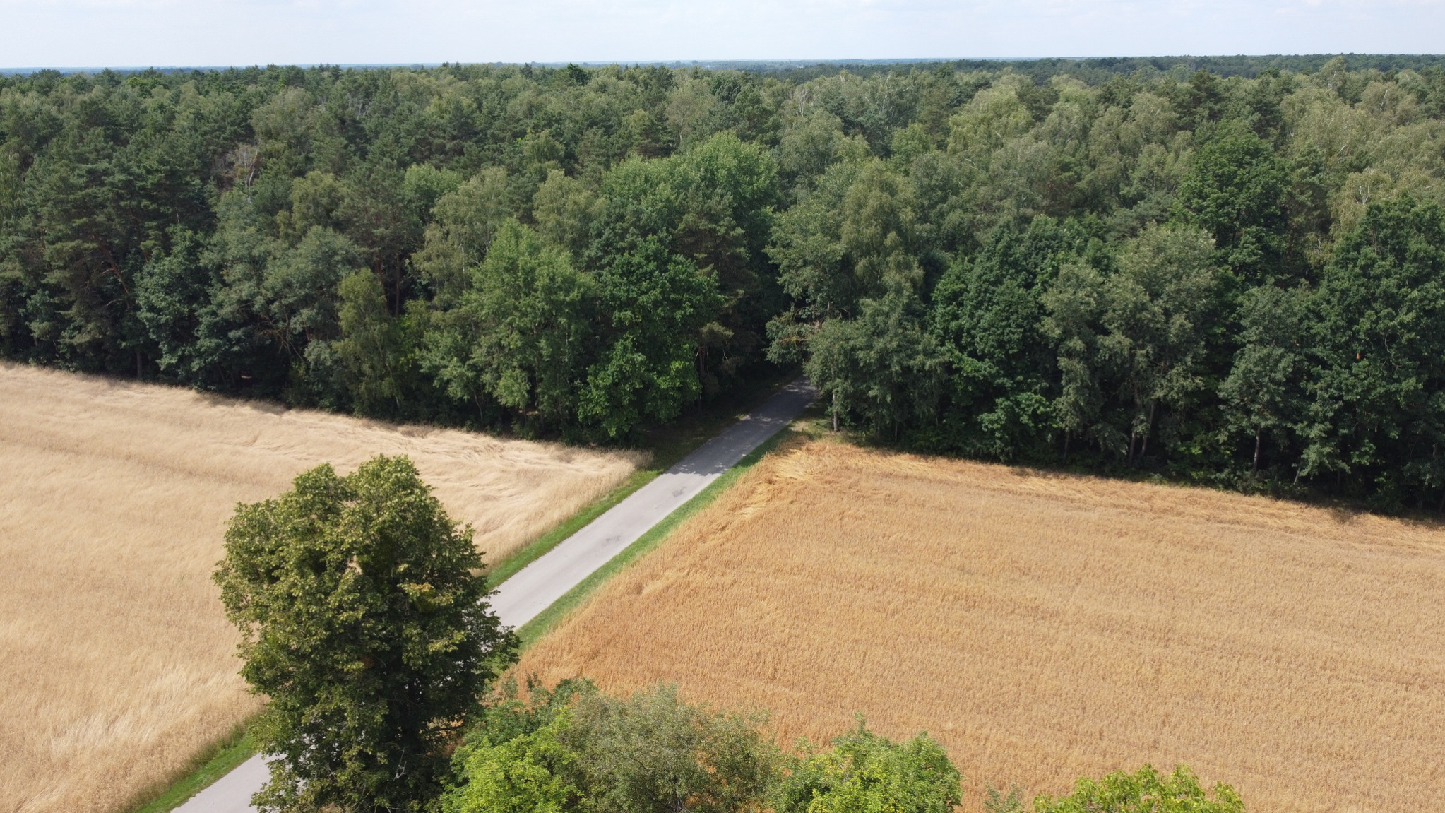 Działka Sprzedaż Zamość Nowy