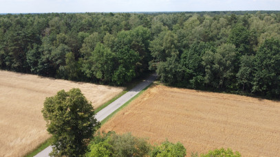 Działka Sprzedaż Zamość Nowy