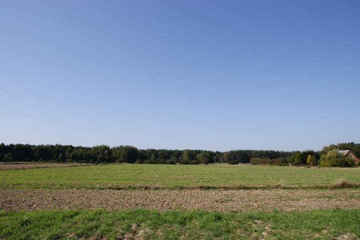 Działka Sprzedaż Krasne 16