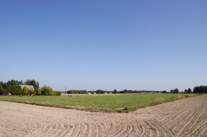 Działka Sprzedaż Krasne 17