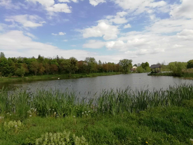 Działka Sprzedaż Klementowice 11