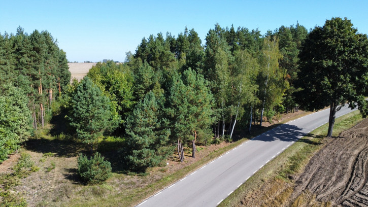 Działka Sprzedaż Szlachecki Las 3