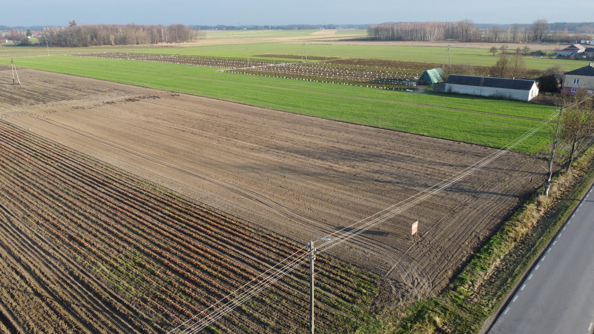 Działka Sprzedaż Helenów