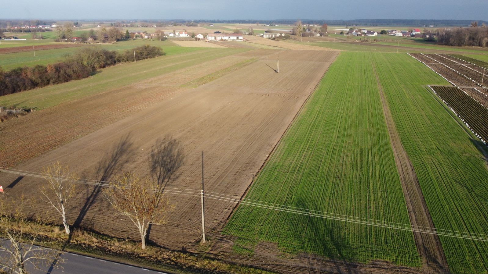 Działka Sprzedaż Helenów
