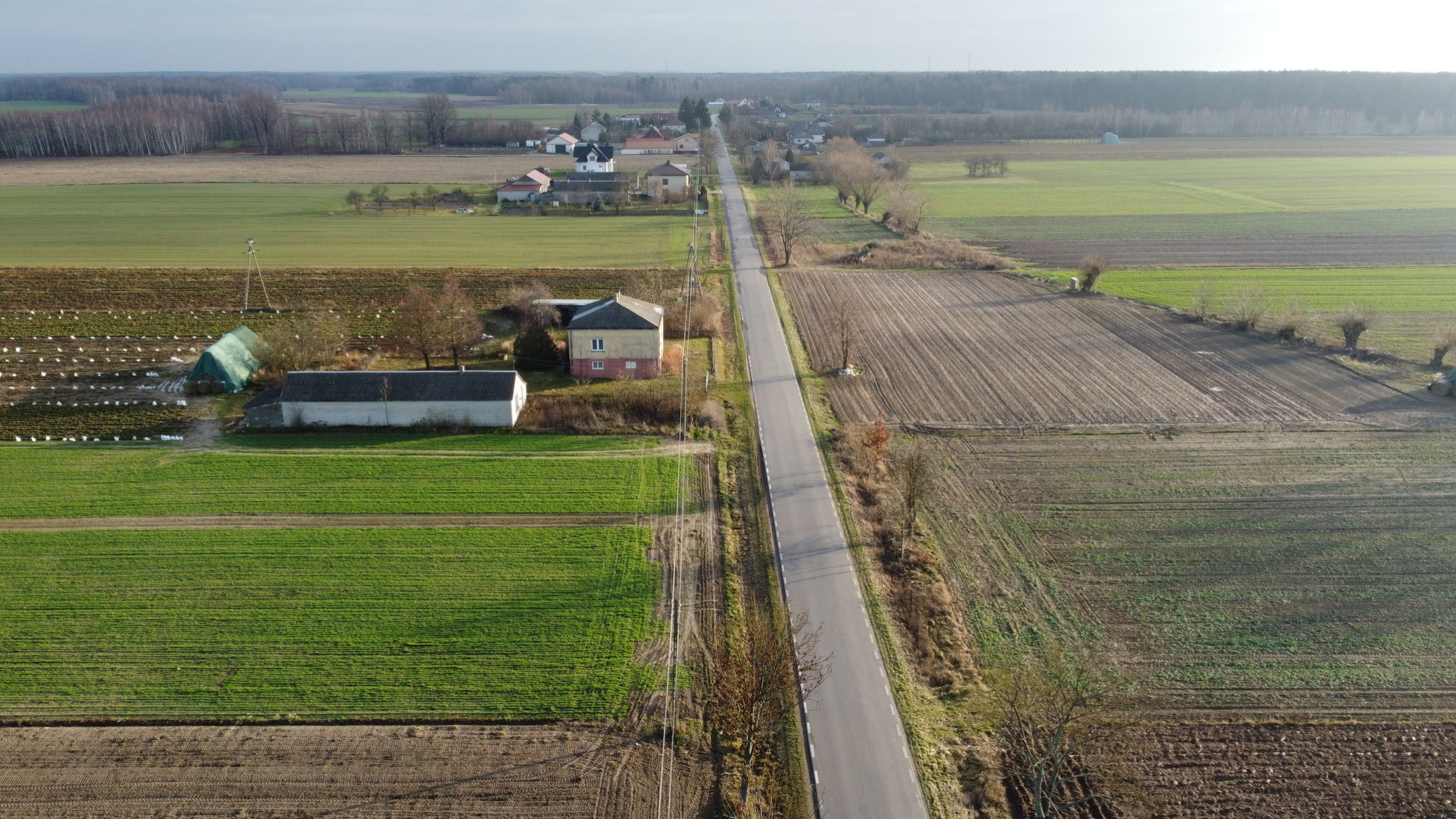 Działka Sprzedaż Helenów