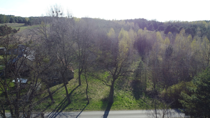 Działka Sprzedaż Borowiec 3