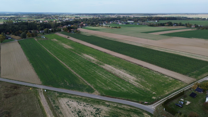 Działka Sprzedaż Jabłonna Pierwsza 3