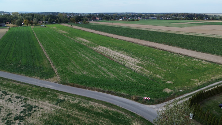 Działka Sprzedaż Jabłonna Pierwsza 5