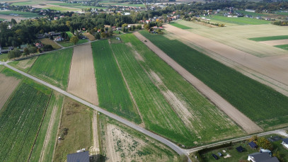 Działka Sprzedaż Jabłonna Pierwsza