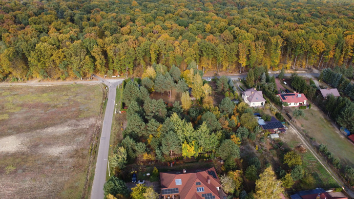 Działka Sprzedaż Kolonia Góra Puławska 8