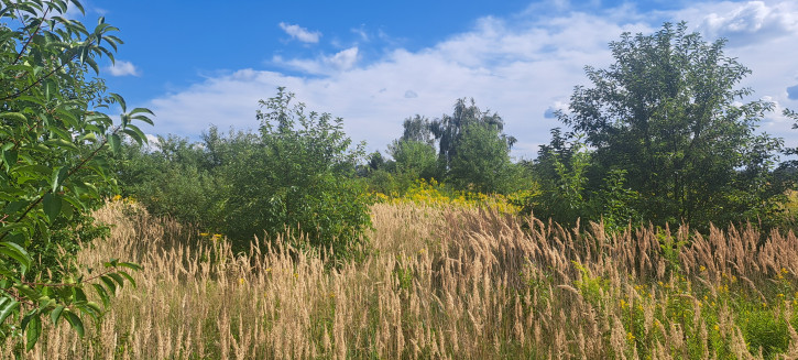 Działka Sprzedaż Suszno 2