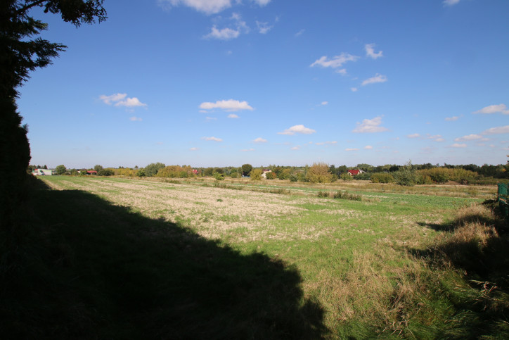Działka Sprzedaż Turka 8
