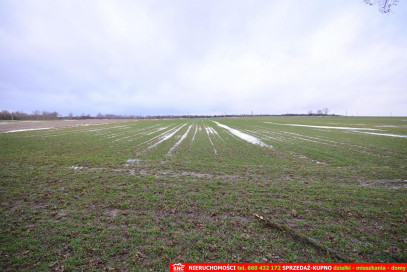 Działka Sprzedaż Wierciszów