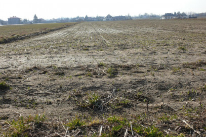 Działka Sprzedaż Osmolice Pierwsze